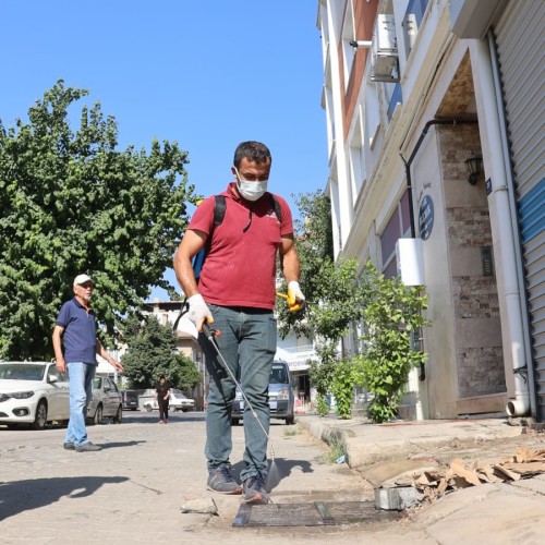Koçarlı Belediyesi, Haşereyle Mücadelede 24 saat kesintisiz hizmet veriyor