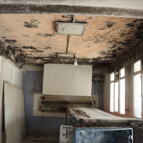 Sağlıksız Koşullardaki Fırından Çıkan Ekmekler Halka Yedirilmiş